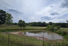 morgan county drought pond